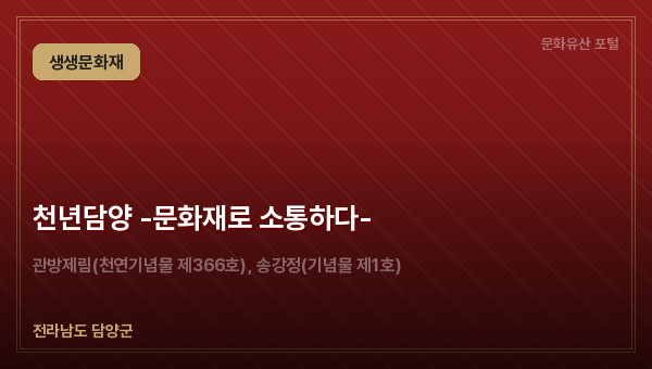 천년담양 -문화재로 소통하다-